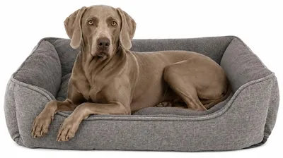 Imagen del producto de Cama para perros Lionto, diseño moderno, con base antideslizante, funda desmontable y relleno de felpa, 110x80 cm, color gris