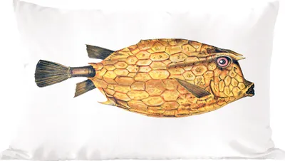 Produktbild von MuchoWow® Zierkissen Sofakissen Wohnzimmer Dekokissen 50x30 cm Fisch - Realismus - Gold - Wohnzimmerdekoration - Polster mit Photo