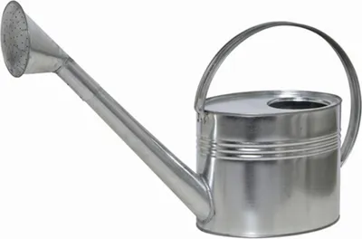 Produktbild von SIENA GARDEN Zinkgießkanne mit Brause, 7 l