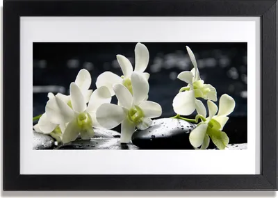 Produktbild von Bild 30x20 MDF-Rahmen Wandkunst Blume Orchidee Pflanze