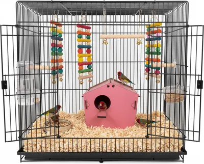 Produktbild von Jungengel Vogelhaus Nistkasten rosa Stecksystem Holz für Wellensittiche Finken Kanarienvögel Vogelhäuschen mit Anflugsteg & klappbarem Dach