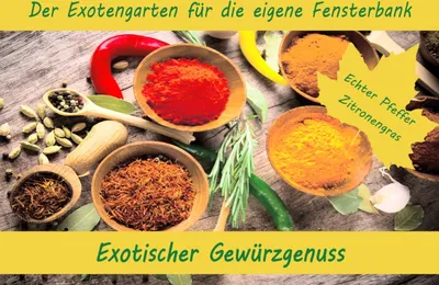 Artikelbild 1 von 'could not prepare statement [Connection is closed] [select d1_0.id,d1_0.changeTrackingIgnoredFields,d1_0.config,d1_0.created_at,d1_0.customer_id,d1_0.databasetype,d1_0.schema_id,d2_0.id,d2_0.created_at,d2_0.customer_id,d2_0.fielddefiniti