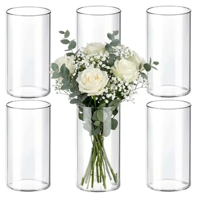 Produktbild von Set aus 6 zylindrischen Glasvasen