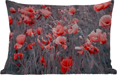 Produktbild von MuchoWow® Outdoor Kissen - Rote Mohnblumen in einem Schwarz-Weiß-Bild - 60x40 cm - Wetterfest - Lounge Kissen - Zierkissen - Kissen für Innenräume