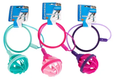 Zdjęcie produktu dla Gametime swingwheel