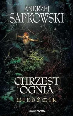 Obrázek produktu pro ISBN 9788375780673, Polský, Brožovaná, 384 str.