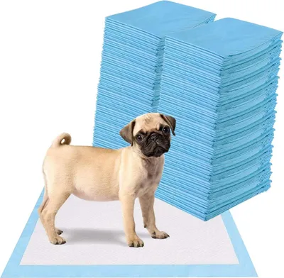 Produktbild von COSTWAY Výcvikové podložky pro psy, 5vrstvý design odolný proti rozlití, podložky pro štěňata, hygienické podložky na jedno použití PIPI Pads, výcvikové podložky pro štěňata (100 ks 60x60cm)