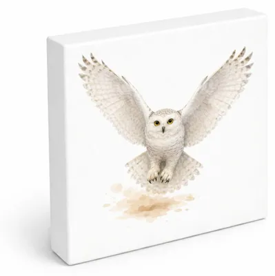 Produktbild von Schneeeulenzauber Schneeeule Flug Holzbild in 15x15 cm zum Stellen oder