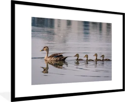 Produktbild von MuchoWow® Gerahmtes Poster Ente - Wasser - Vogel - Braun 90x60 cm - Poster mit Schwarzem Bilderrahmen Wandposter Rahmen Foto Bilder - Wanddekoration - Fotos