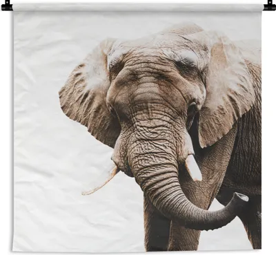 Produktbild von MuchoWow® Wandteppich Wandbehang Elefant - Tiere - Weiß 150x150 cm Tapisserie Dekoration Wandtuch - Wohnaccessoires - Modernes