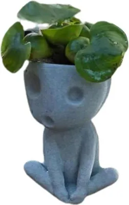 Immagine prodotto di Vasi da interno luminosi per cactus e piante grasse