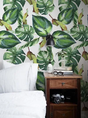 Produktbild von Coloray Fototapete 152x104 cm Vlies-Fototapete - Utensilienblattblätter Blumen