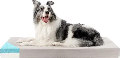 Produktbild von Famanu Hundebett – Orthopädisches Hundekissen mit Temperaturregulierung