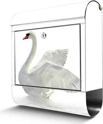 Produktbild von Edelstahl Briefkasten mit Zeitungsfach Schwan großer Design Postkasten rostfrei, A4 Einwurf [BKGE2 10299]