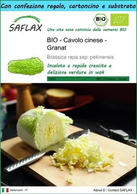 Immagine prodotto di SAFLAX Set regalo - BIO - Cavolo cinese - Granat - 40 semi - Brassica