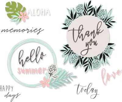 Zdjęcie produktu dla Wykrojnik Sizzix Framelits + stemple - Detailed Tropics