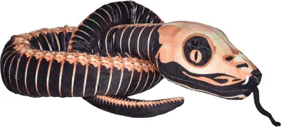 Obrázok produktu pre Wild Republic Skeleton, hračkársky had