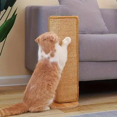 Produktbild von Katzenkorb aus Karton - Entwurf Katzenstrecker und robust - Schutz vor Kratzern - Katzenkorb oder Matte für Katzen - Ideales Zubehör für die Pflege der Katze