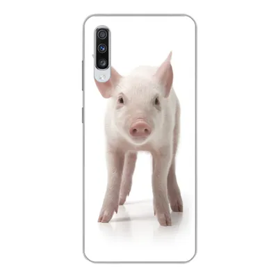 Produktbild von MuchoWow® Handyhülle Schutzhülle Hülle für Samsung Galaxy A70 Schwein - Tiere - Weiß Silikon Softcase Handy Hülle - Schutzhaube