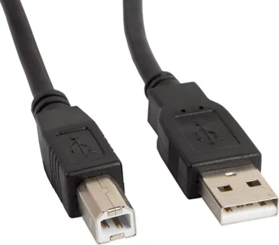 Image de Lanberg CA-USBA-11CC-0018-BK LANBERG CABLE USB-A(M)->USB-B(M) 2.0 1.8M SCHWARZ