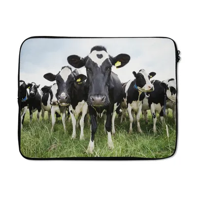 Produktbild von MuchoWow® Laptop Hülle 17 Zoll Laptoptasche Kühe - Gras - Frühling - Tiere - Wiese - Bauernhof - Zipper - Schutzabdeckung