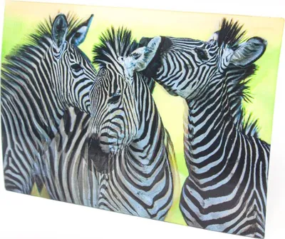 Produktbild von 3D Postkarte Zebras