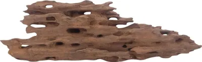 Produktbild von L Honey Comb Wurzel Nr.3028 Holz Deko Aquascaping