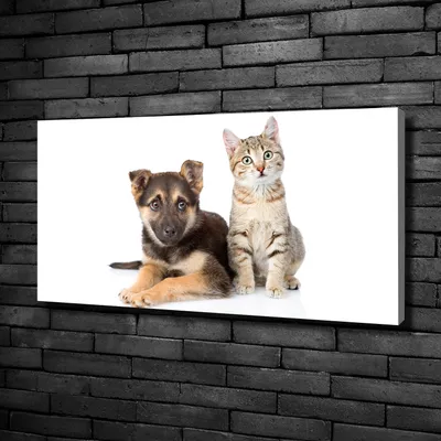 Produktbild von Tulup® Leinwandbild -100x50 cm - Wandkunst - Drucke auf Leinwand - Leinwanddruck  - Tiere - Schwarz - Hund und Katze