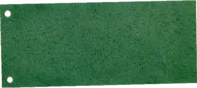 Obrázek produktu pro LEITZ pilníková vlajka 100ks zelený manilový karton 190 g