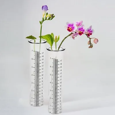 Produktbild von Famanu Regenmesser 2 Stück - Glaskolben für Garten und Wetterstation