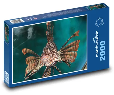 Obrázok produktu pre Puzzle 2000 Perutýn - morská ryba - martinpuzzle