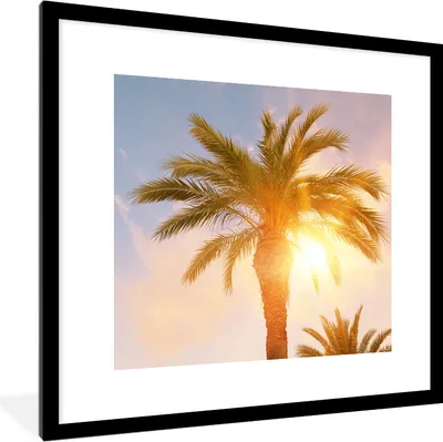 Produktbild von MuchoWow® Gerahmtes Poster Palme - Sommer - Sonne - Tropisch 40x40 cm - Poster mit Schwarzem Bilderrahmen Wandposter Rahmen Foto Bilder - Poster - Plakat im Rahmen