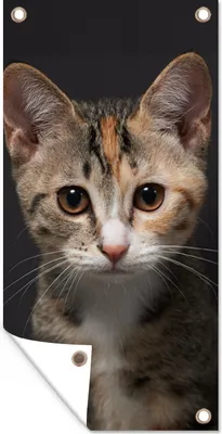 Produktbild von MuchoWow® 40x80 cm Outdoor-Poster Gartendeko Sichtschutz Garten Poster für den Garten  Katze - Schwarz - Porträt