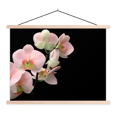 Produktbild von MuchoWow® Textilposter Orchidee - Blumen - Rosa - Stilleben - Flora 40x30 cm mit holzfarbenen Rahmen - Bilder