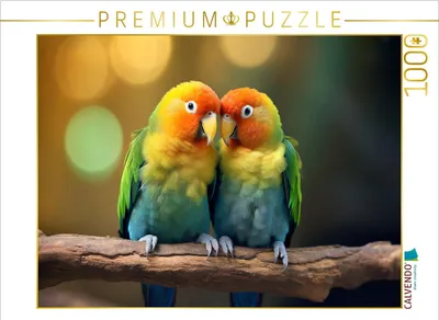 Produktbild von CALVENDO Puzzle Papageien | 1000 Teile Lege-Größe 64x48cm Foto-Puzzle für glückliche Stunden