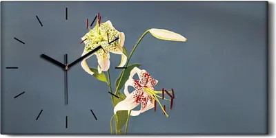 Produktbild von Wandbild Leinwand Bilder Wanduhr Geräuschlos 60x30 Gemälde Blumen Pflanzen Kunst - schwarze Hände