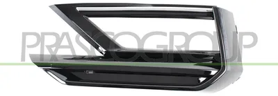 Produktbild von PRASCO Lüftungsgitter Grill Stoßfänger für VW TIGUAN (AD1) mit Loch/Löchern für Nebellampen Schwarz