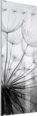 Produktbild von DEQORI Kleiderhaken aus Glas 50x125 cm 'Pusteblume Nahaufnahme' Wand Garderobe Haken