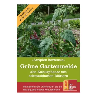 Produktbild von Blattgemüse - Grüne Gartenmelde