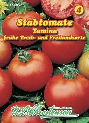 Produktbild von Stabtomate Tamina | Stabtomatensamen von N.L. Chrestensen