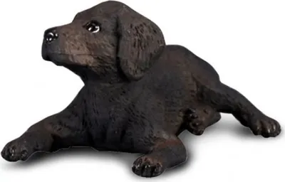 Immagine prodotto di Collecta 88077 Cucciolo di Labrador Retriever 3,5 cm Cani e gatti