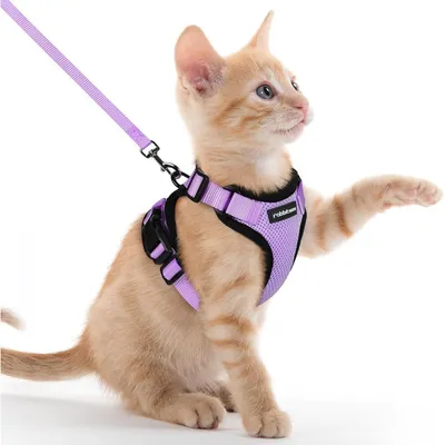 Productafbeelding van Kattenharnes met lijntje, ontsnappingswerend, verstelbaar, kattenvest, lichtpaars, XXS