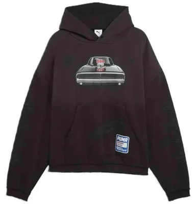 Produktbild von Hoodie Puma 637903-02 für Herren