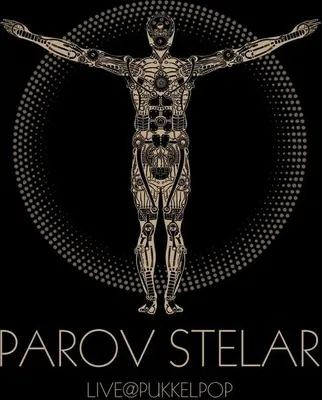 Produktbild von Stelar,Parov-Live (At) Pukkelpop