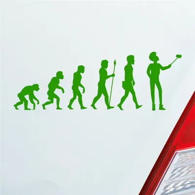Produktbild von Auto Aufkleber Evolution Selfie Stick Handy Entwicklung Darwin 19x6,7 cm Hellgrün Sticker Heckscheibenaufkleber