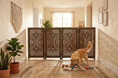 Produktbild von iAnanas Hundegitter faltbar & freistehend - Haustiergitter 180×84 cm Trennwand