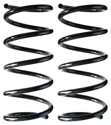 Image de Jeu de ressorts de suspension pour essieu arrière, ressorts hélicoïdaux Ø 119 mm SPIDAN, pour FIAT 500, entre autres