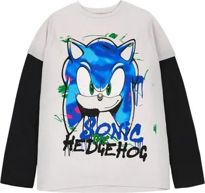 Image de Sonic The Hedgehog - T-shirt "Skater" pour garçon Manches longues NS7627 (122) (Gris/Noir)
