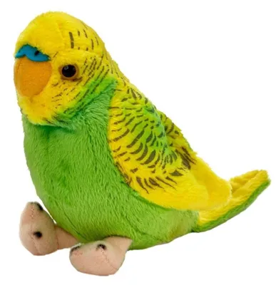 Productafbeelding van BEPPE Parkiet, 13 cm, groen-geel, artikelnummer 13728