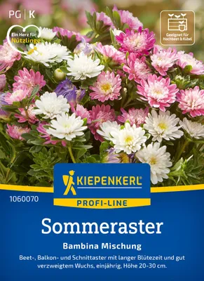 Produktbild von Kiepenkerl Sommerastersamen Bambina 50 Pflanzen